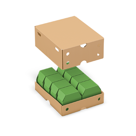 Cover/Tray carton (cover inside)