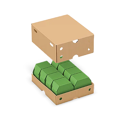 Cover/Tray packaging